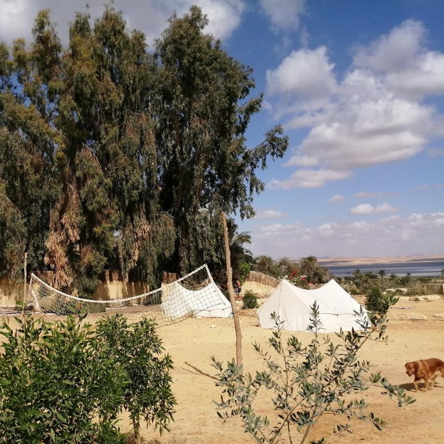 Tunis Village El-Al Fayyūm Zimmer foto